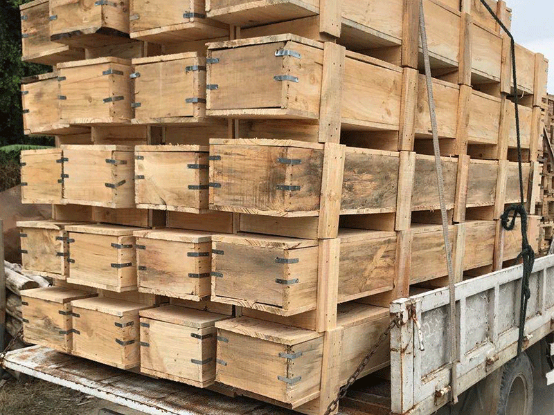 膠合箱，木箱 (22)